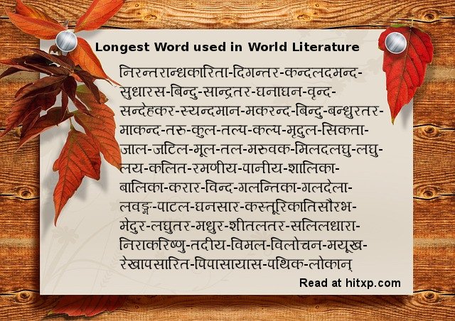what is the longest word in the world language